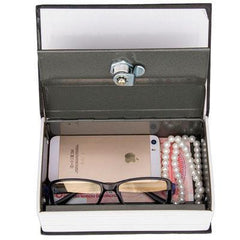 Password Dictionary Book Safe