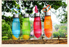 Image of Fruit Infusion Water Bottle - evolette.com